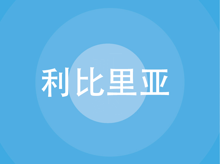 利比里亚贸易指南（2025 年）