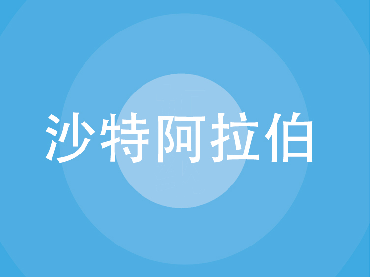 沙特阿拉伯贸易指南（2025 年）