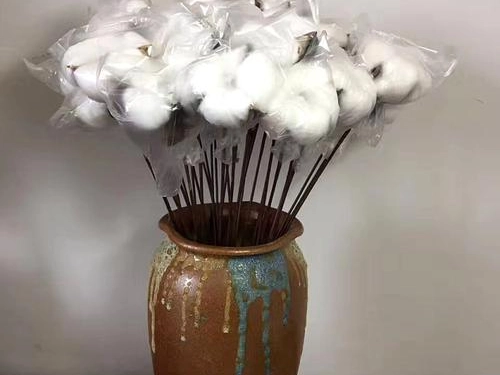 Cotton and palm products