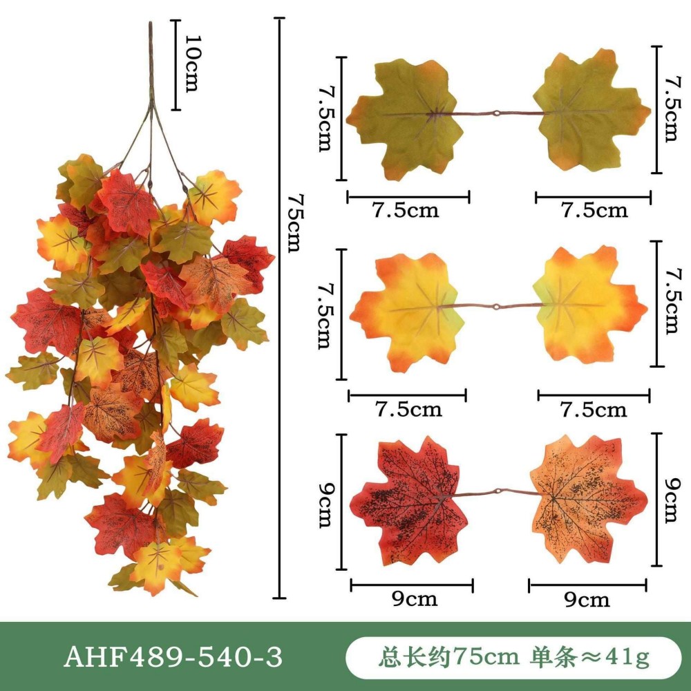 AHF489-540-3