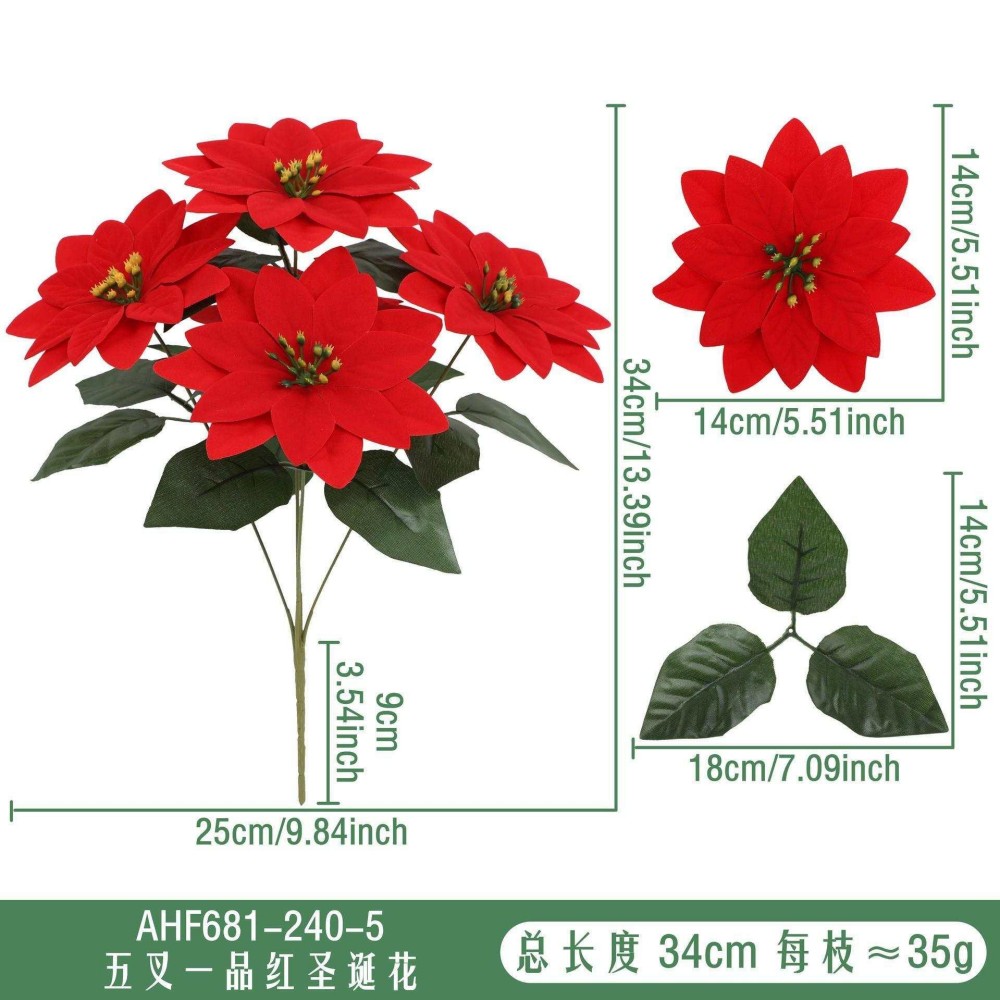 AHF681-240-5
