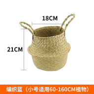 编织篮