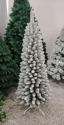 尖头直绒瘦身绑树